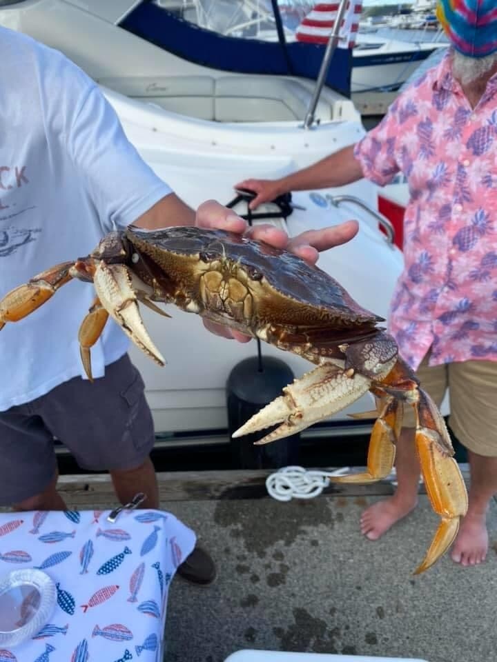 Uncle Bob's USA Bait Sauce, Crab, Shrimp, 100% Natural, Attractant Bait Oil 64oz 5