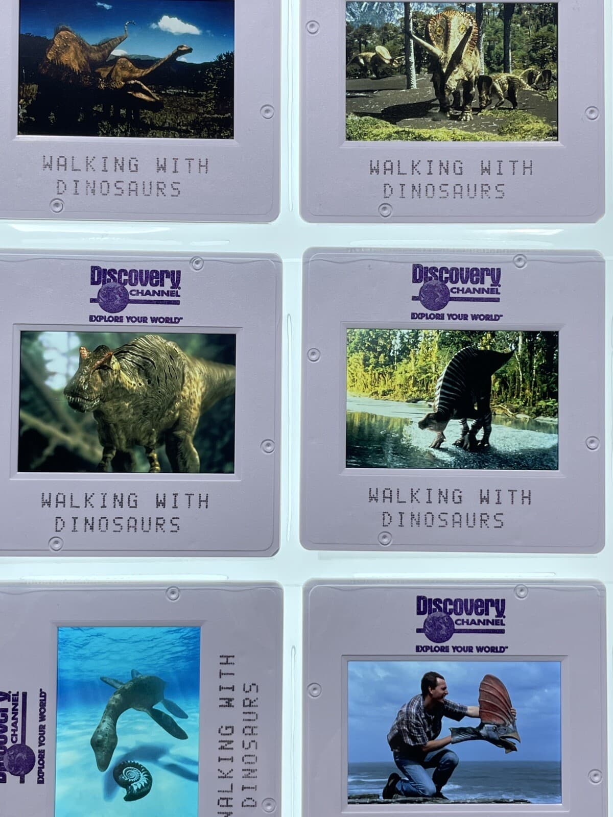 Walking with Dinosaurs 35mm Slides TV Mini Series Press Kit Promo Vtg Lot of 12 5
