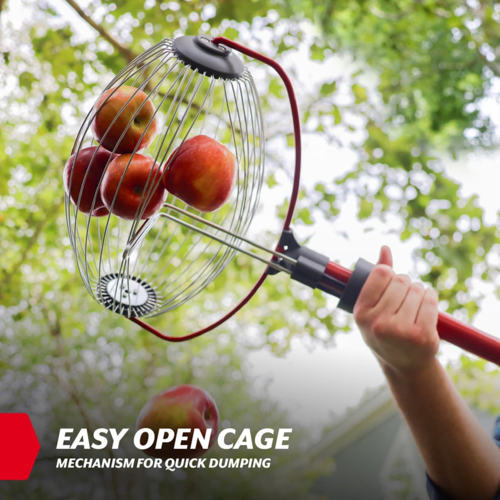 Garden Weasel Nut Gatherer Tool for Walnuts, Small Fruits and More, Large 5