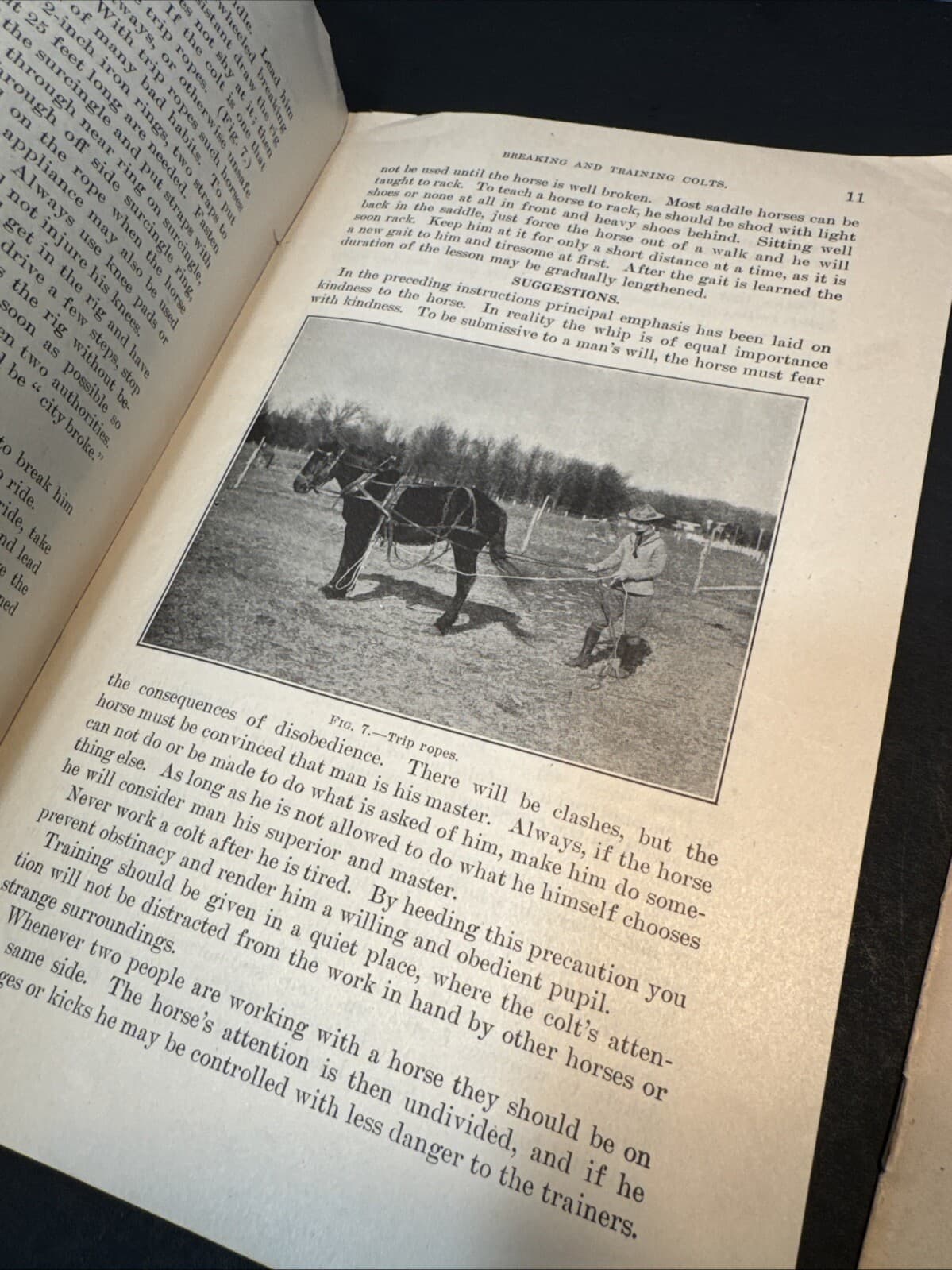 1915-17 USDA Farmers 6 Booklets Horse Feeding, Breaking Colts, Breeding antique 3