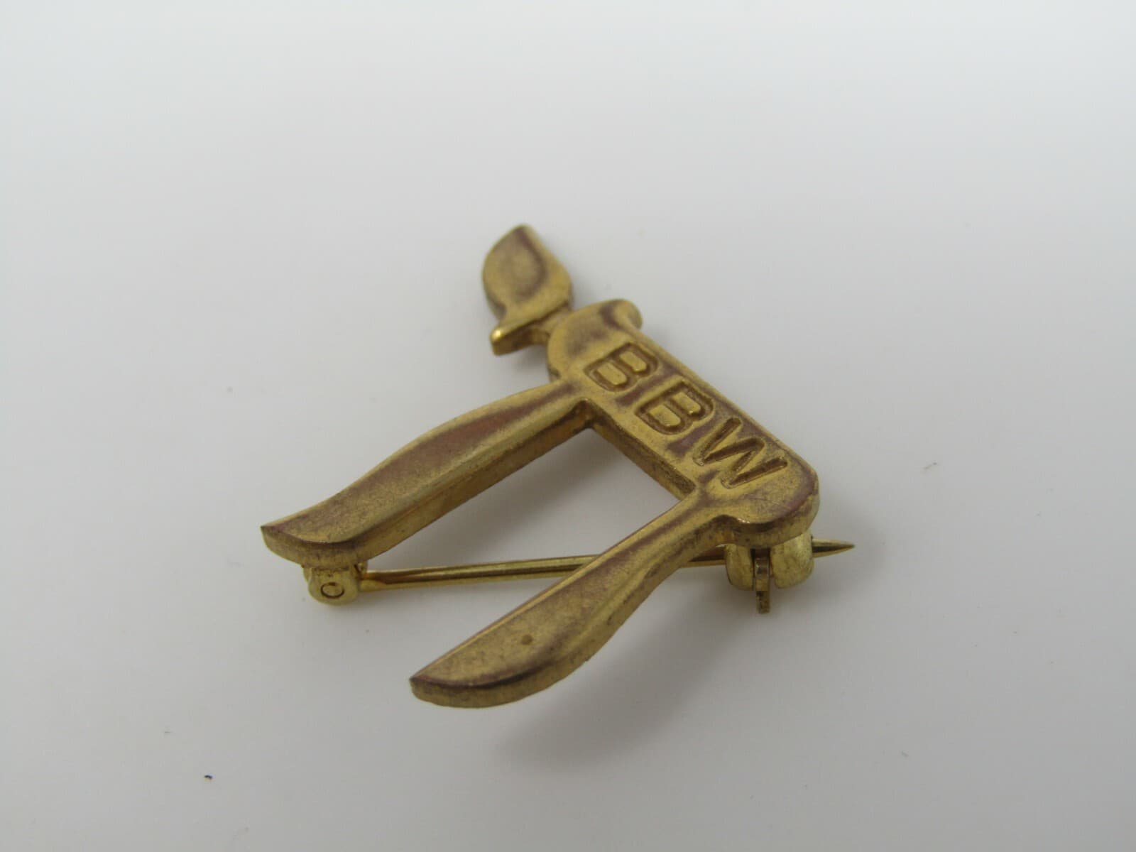 BBW B'NAI B'RITH WOMEN Chai Jewish Pin Nice Quality Vintage 2
