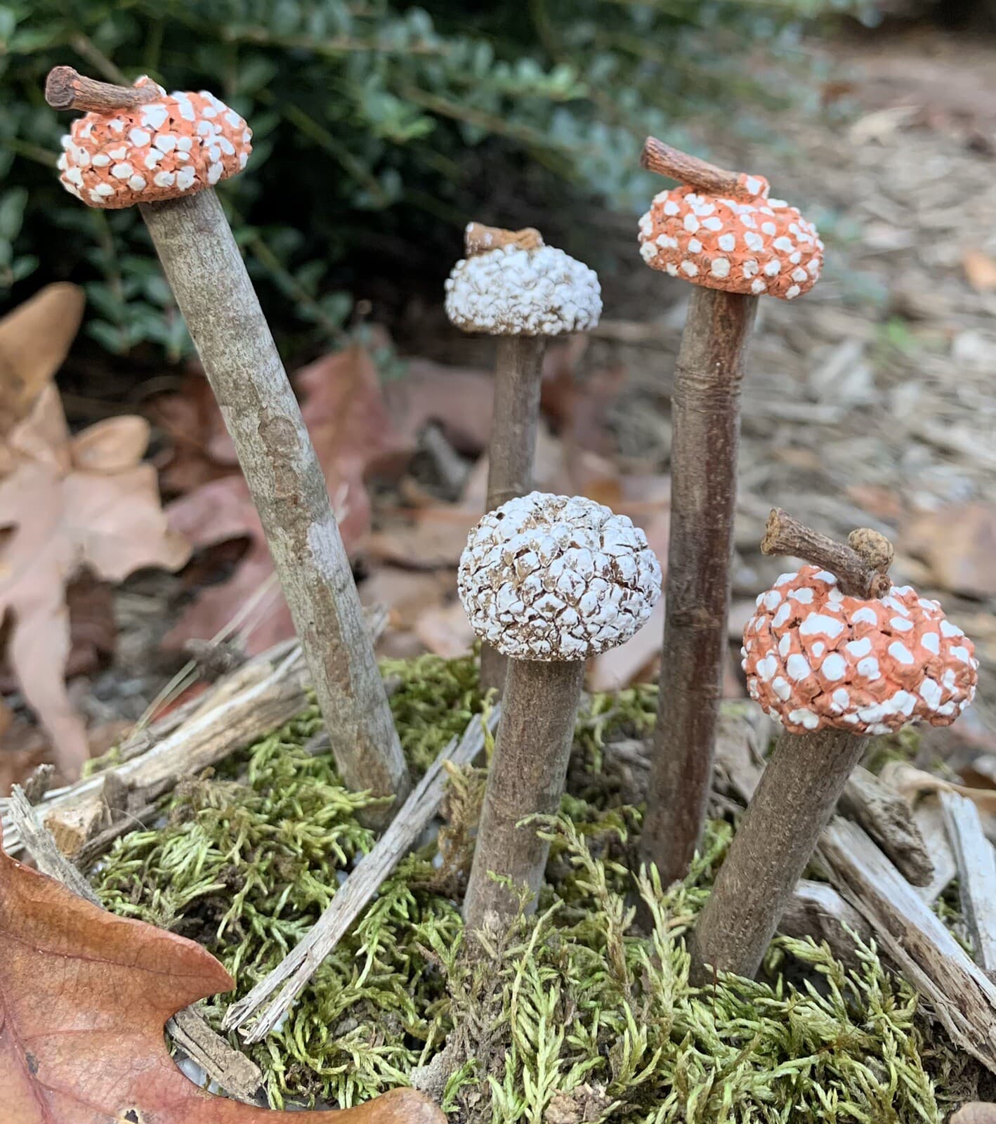 Whimsical Wood & Acorn Cap Mushroom Plant Picks Fairy Garden House Plants Decor 4