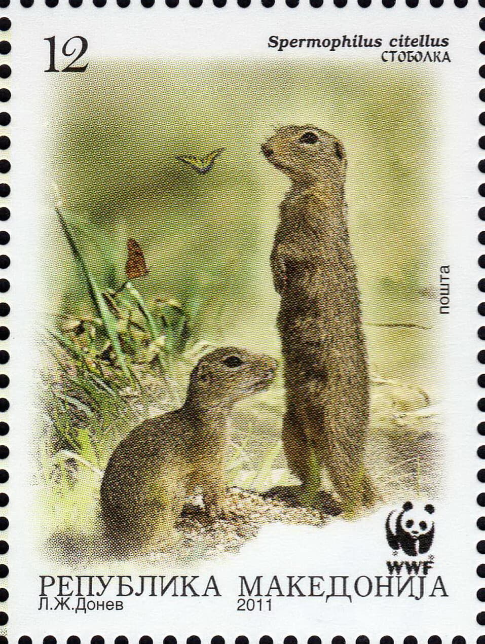 Macedonia 2011yr. - Ground Squirrel - Macedonian POST STAMP SHEET MNH WWF 4