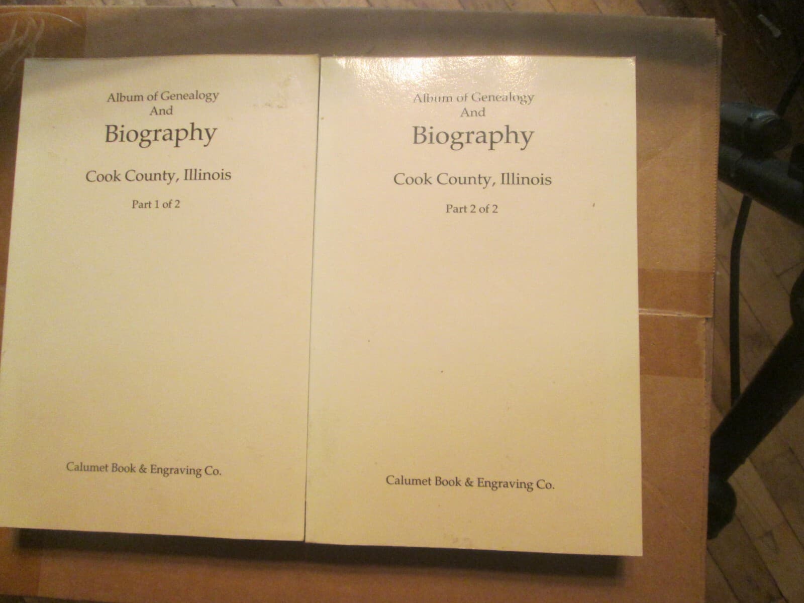 2 Volumes - Album of Genealogy and Biography of Cook County, Illinois
