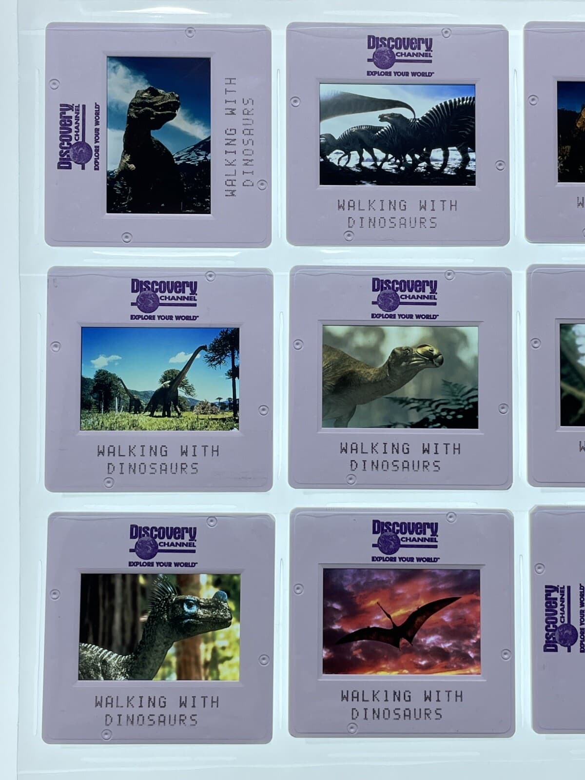 Walking with Dinosaurs 35mm Slides TV Mini Series Press Kit Promo Vtg Lot of 12 2