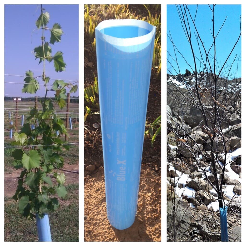 Blue-X Grow Tubes, 30” Grow Tube Box Of 50