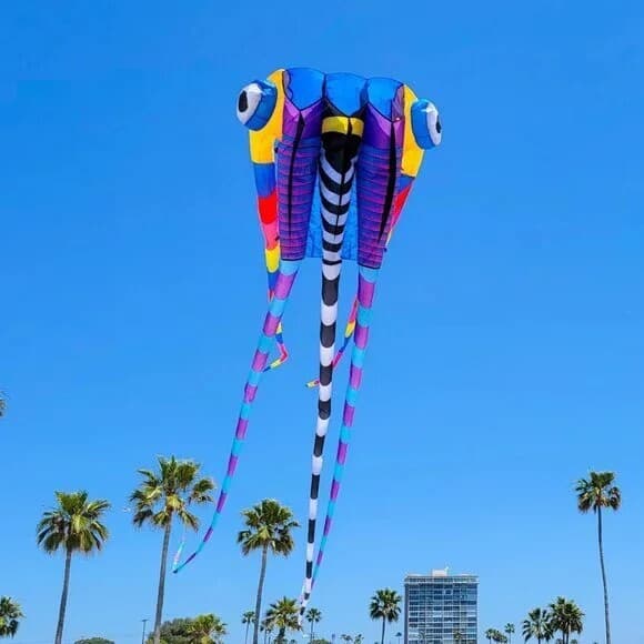 Giant 189" Trilobite Airfoil Nylon 3D Kite For Adults +Bag + Winder + 100lb line 5