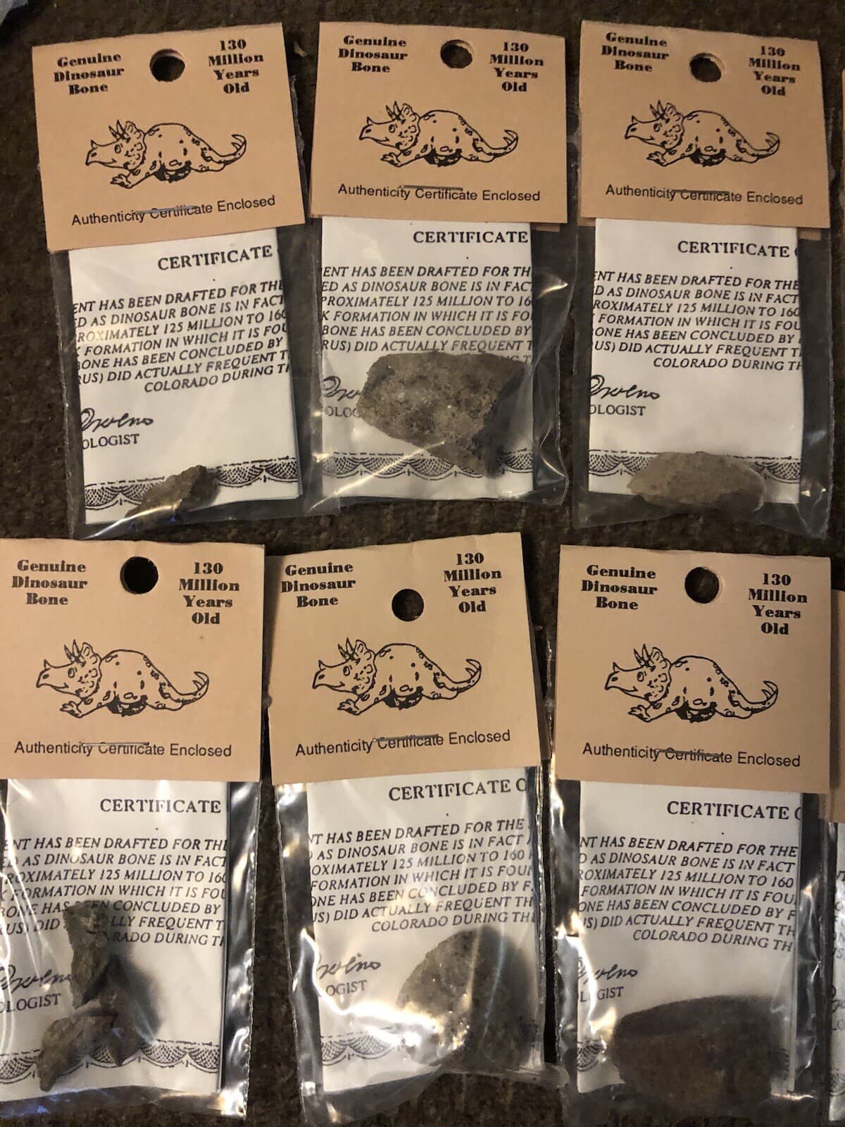 GENUINE DINOSAUR BONE SPECIMEN AUTHENTICITY CERTIFIED Collectors Fossil 4