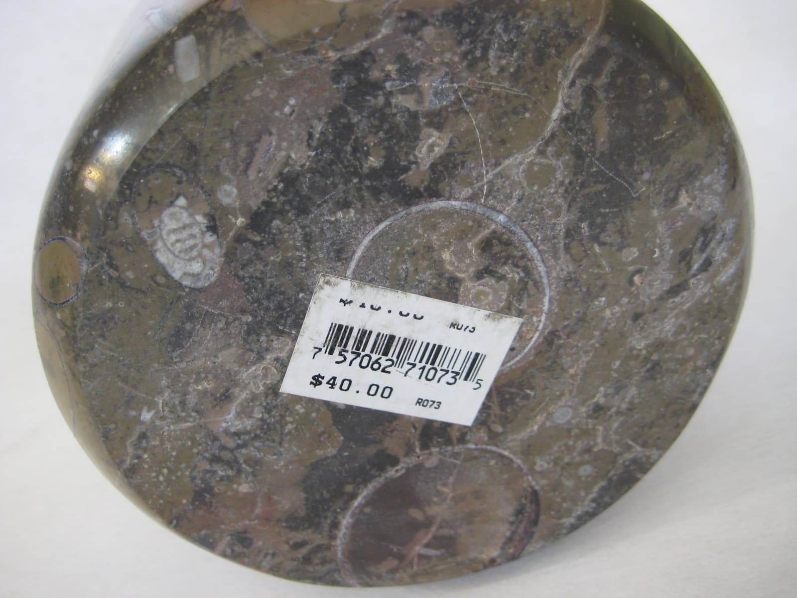 Vintage Round Shaped Geisonoceras Fossil Trinket Box, 3" High X 4 1/2" Diameter 6