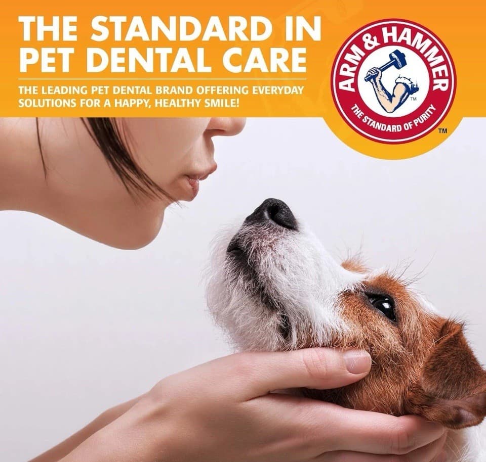 Arm & Hammer for Pets Dog Tartar Control Kit Toothpaste Toothbrush Mint NEW 5