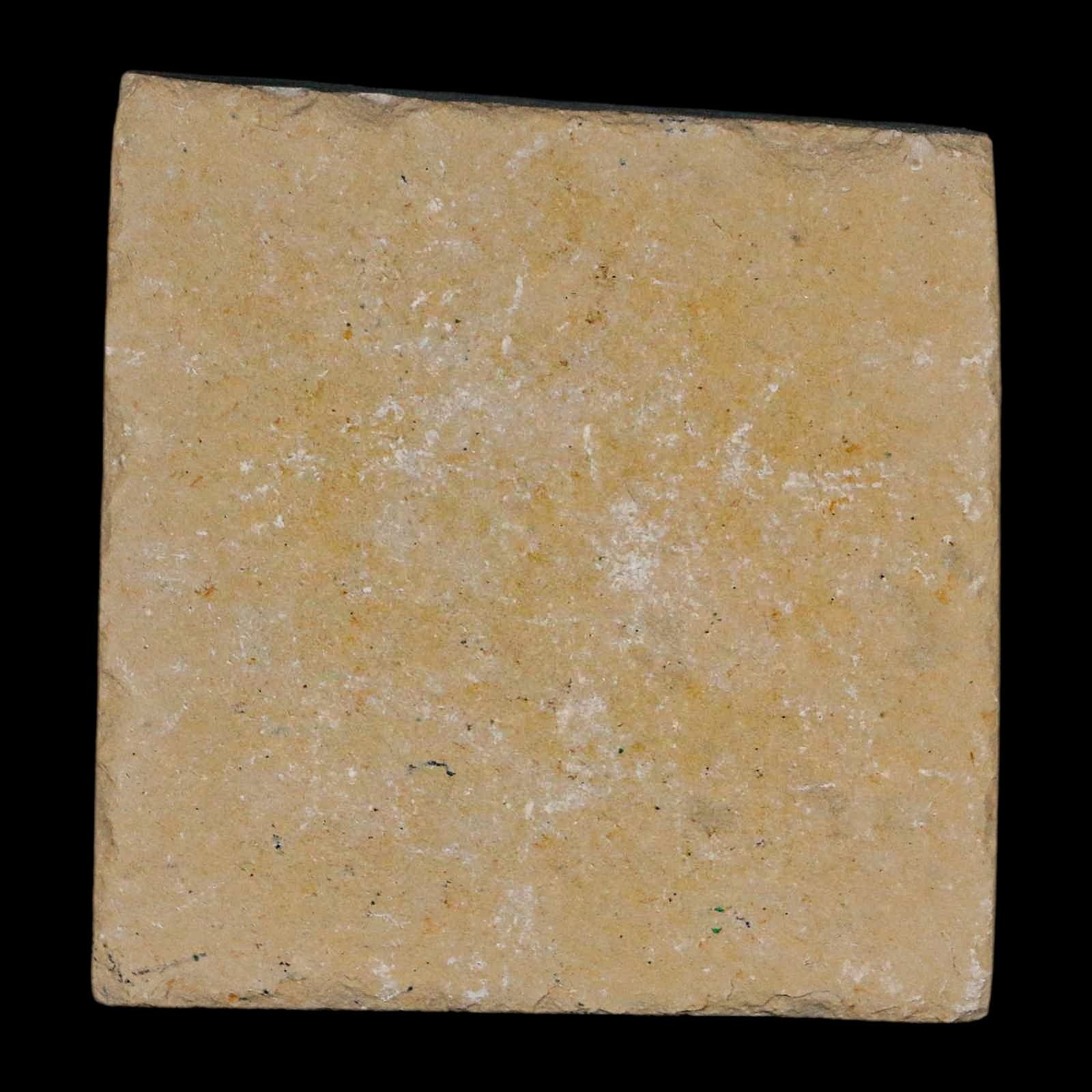 1.4" Fossil Shrimp Carpopenaeus Cretaceous Age 100 Mil Yrs Old Lebanon COA 6