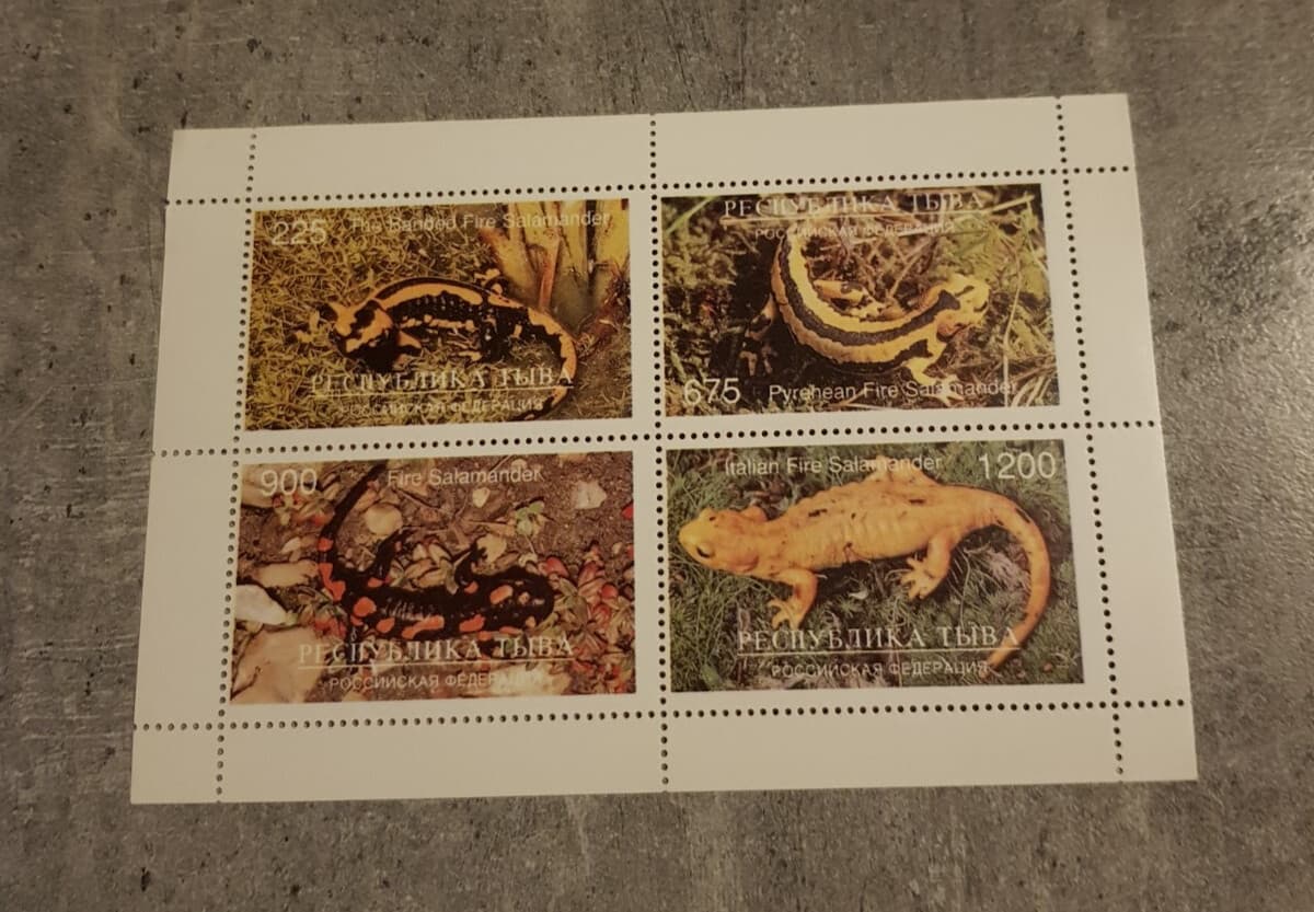 TUVA-  AMPHIBIANS- FIRE SALAMANDER-ITALIAN FIRE SALAMANDER-MINIATURE SHEET MNH