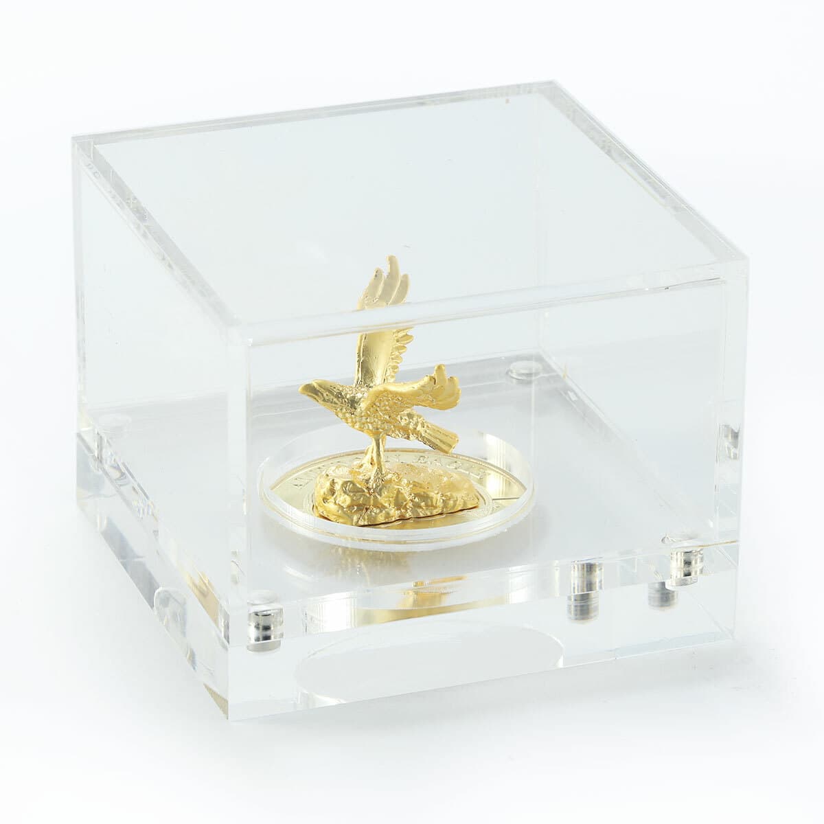 Somaliland 3D Sculpture Coin, American Eagle, 100 Shillings, Bird, 2019 2