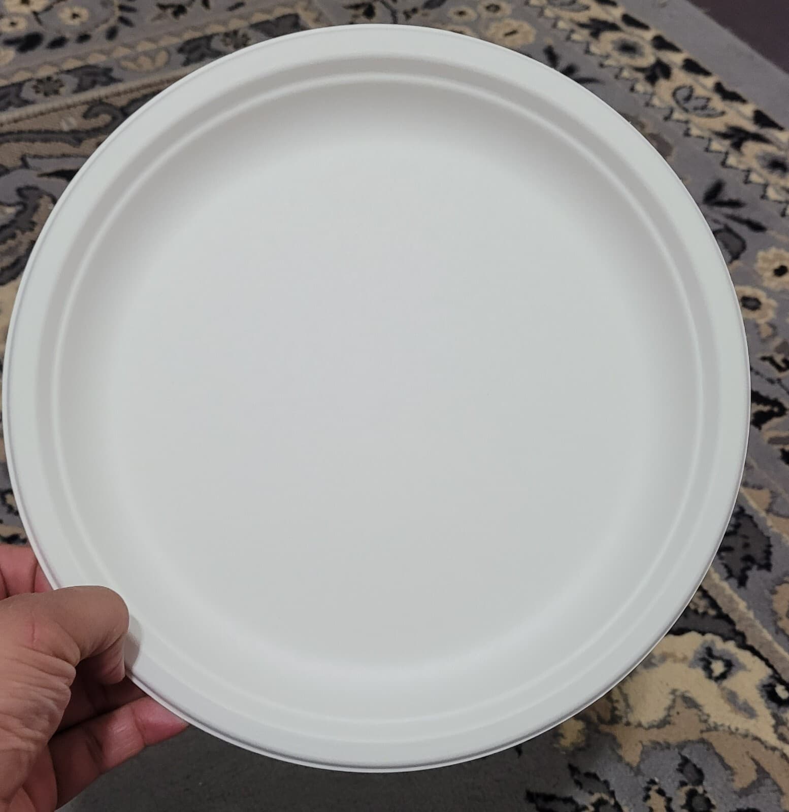 10" Round 500pcs Compostable Natural Sugarcane Biodegradable Plate Microwavable 3