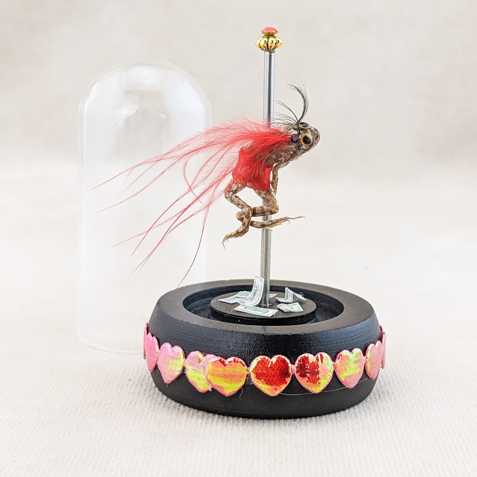 Stripper Leopard Frog Glass Dome Taxidermy Specimen Oddity Curiosities gift 4