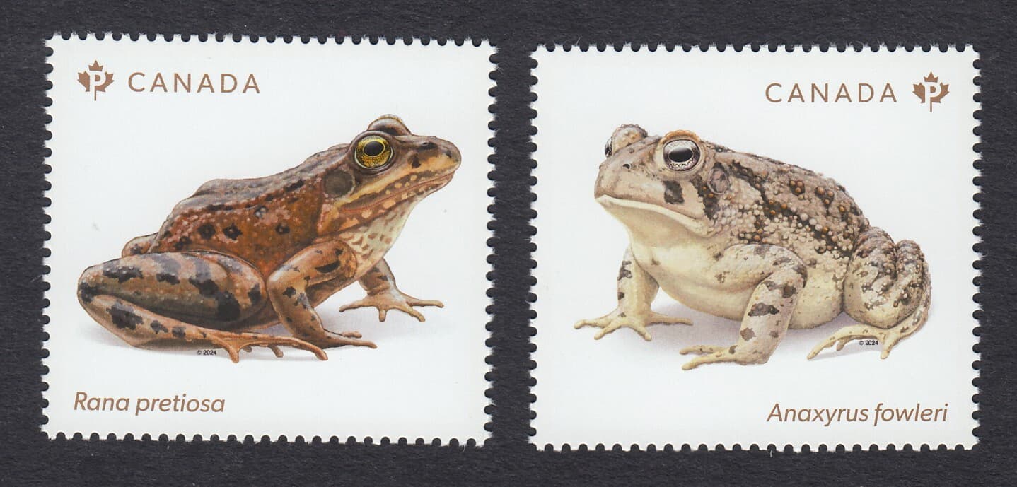 qq. ENDANGERED FROGS = frog, toad = Pair from Souvenir Sheet MNH Canada 2024