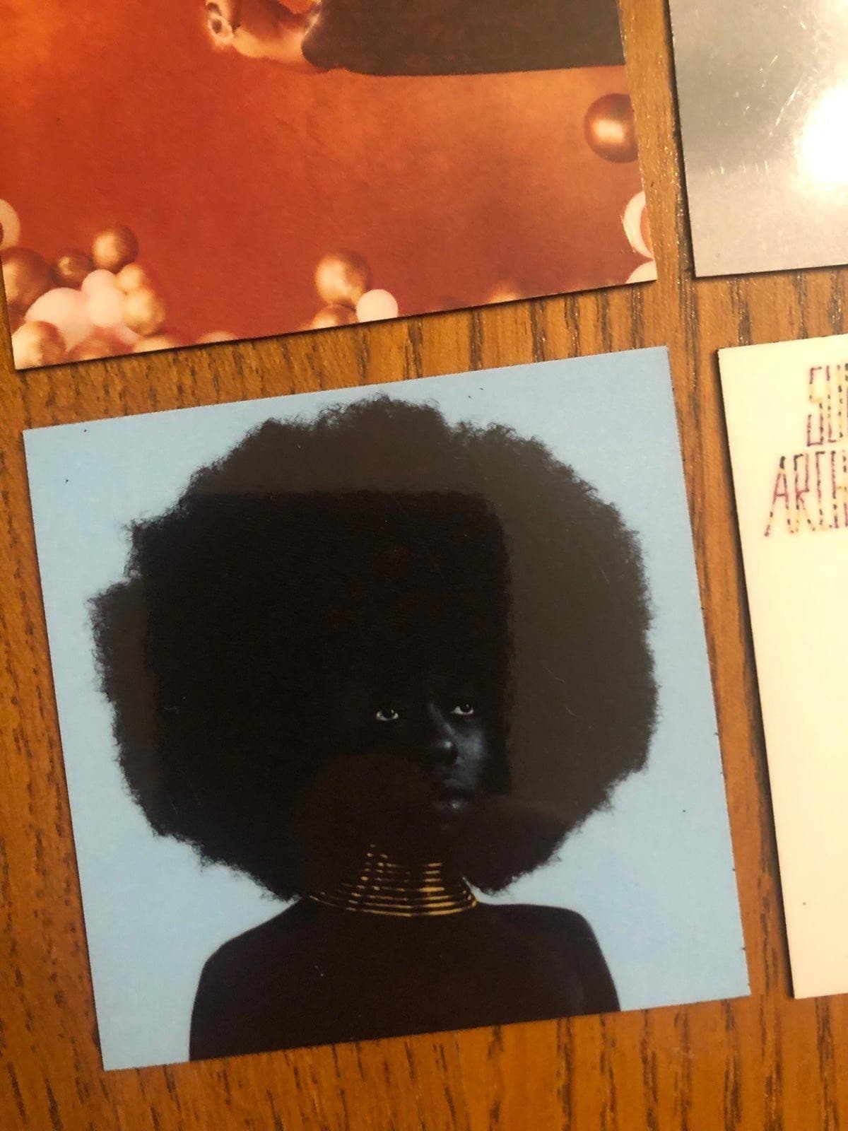 Sudan Archives fridge magnets 6