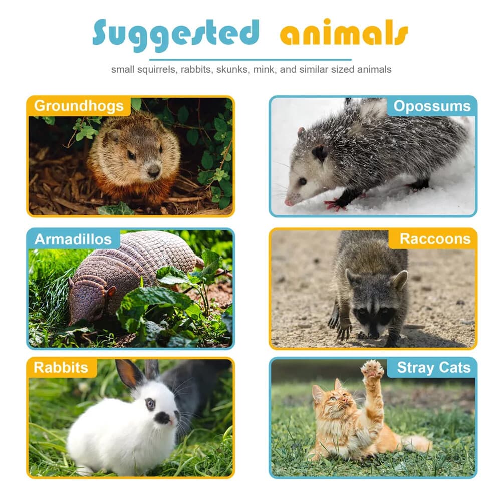 24" Humane Animal Live Trap Cage for Raccoons Rodent Control Stray Cat Squirrel 2