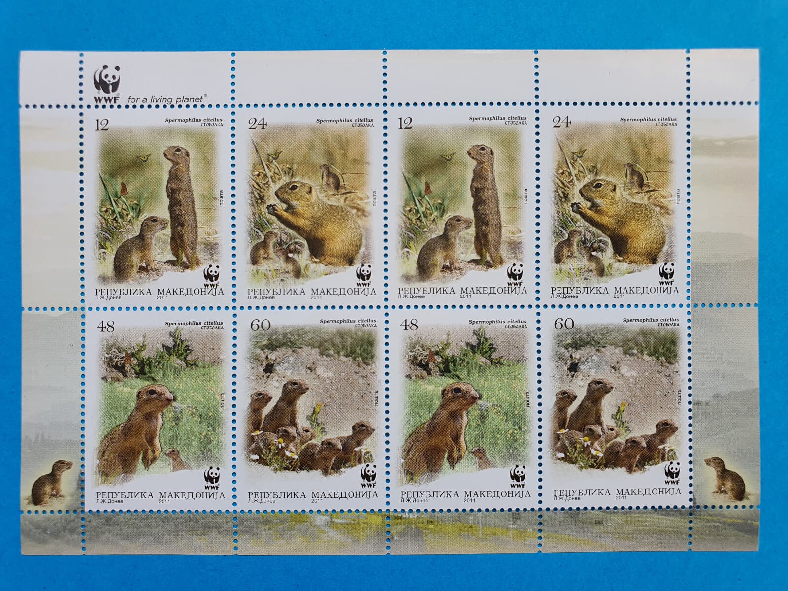 Macedonia 2011yr. - Ground Squirrel - Macedonian POST STAMP SHEET MNH WWF