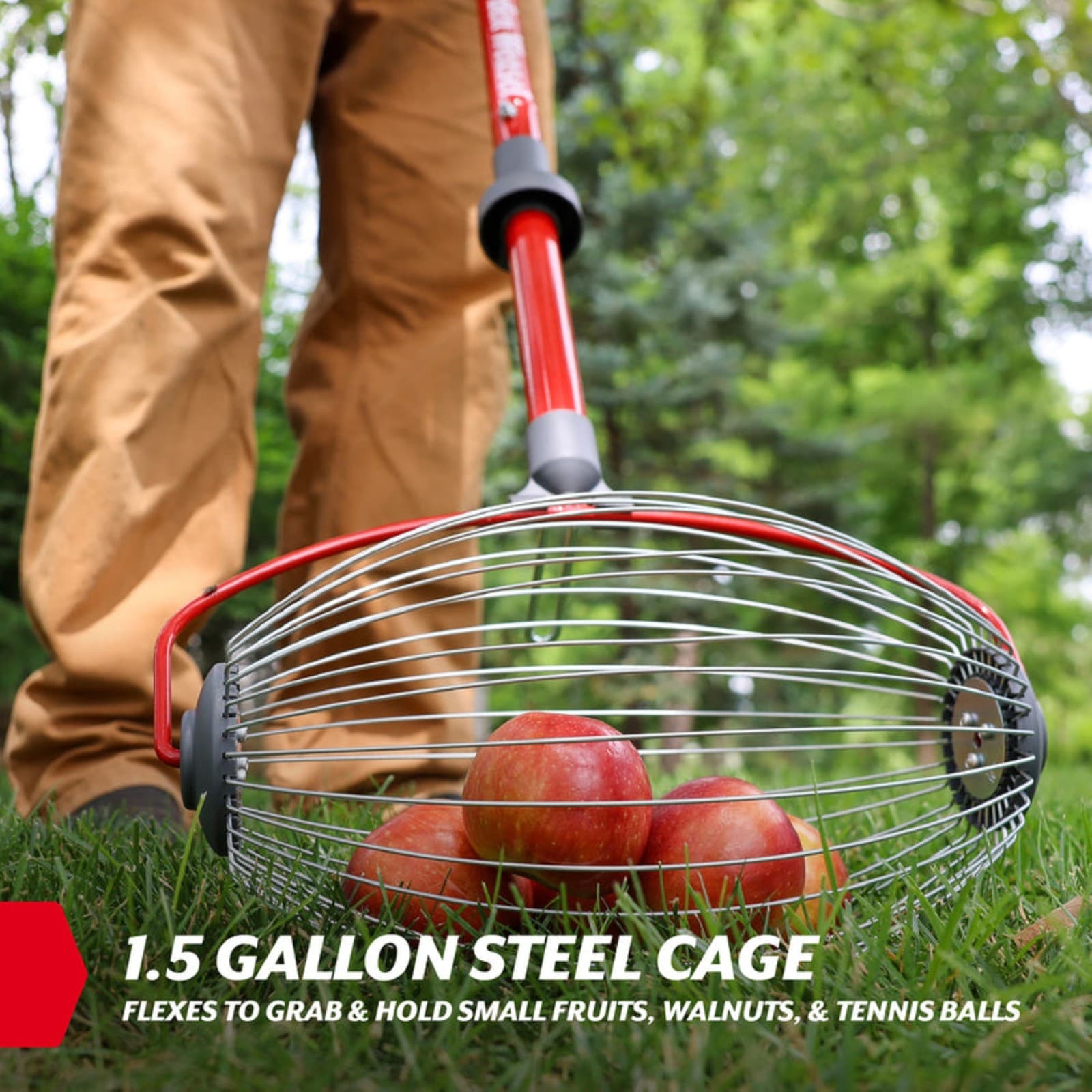 Garden Weasel Nut Gatherer Tool for Walnuts, Small Fruits and More, Large 6