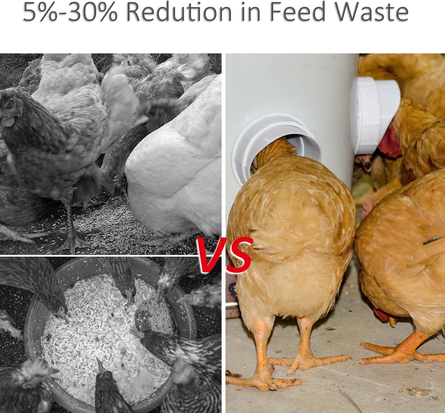 DIY Automatic Chicken Feeders No Waste Rain Proof Poultry Feeder W/ 4 port 5