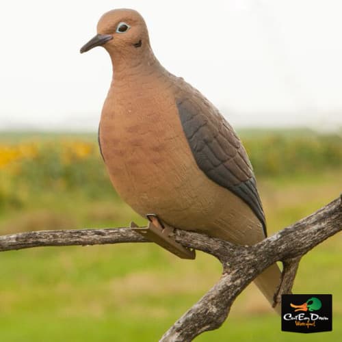 NEW AVERY OUTDOORS GREENHEAD GEAR GHG CLIP ON MOURNING DOVE DECOYS PAIR - 2 PACK 3