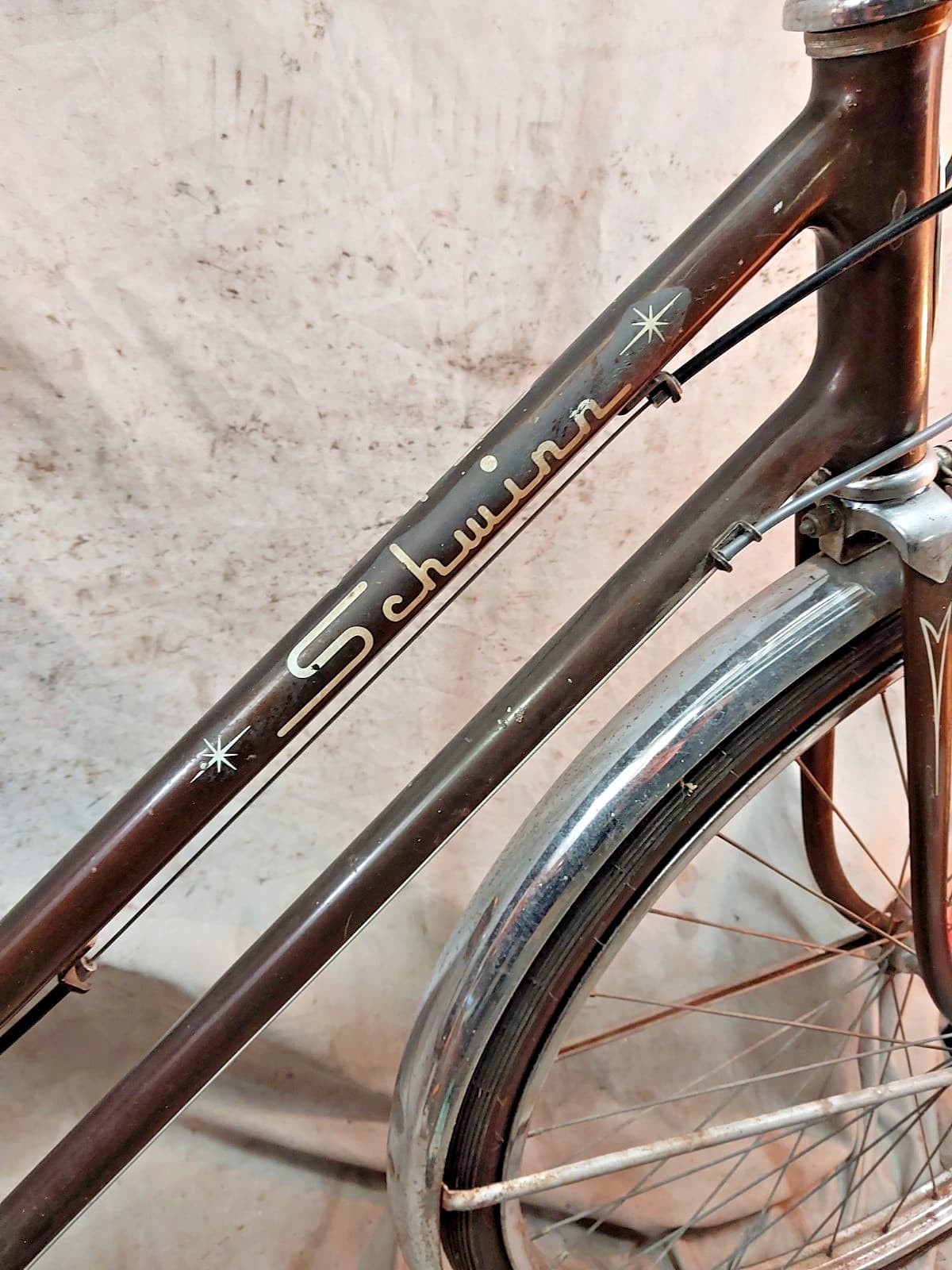 1972 Schwinn Collegiate Cruiser Bike 19.5" Large 5 Speed Steel USA Made StepThru 5