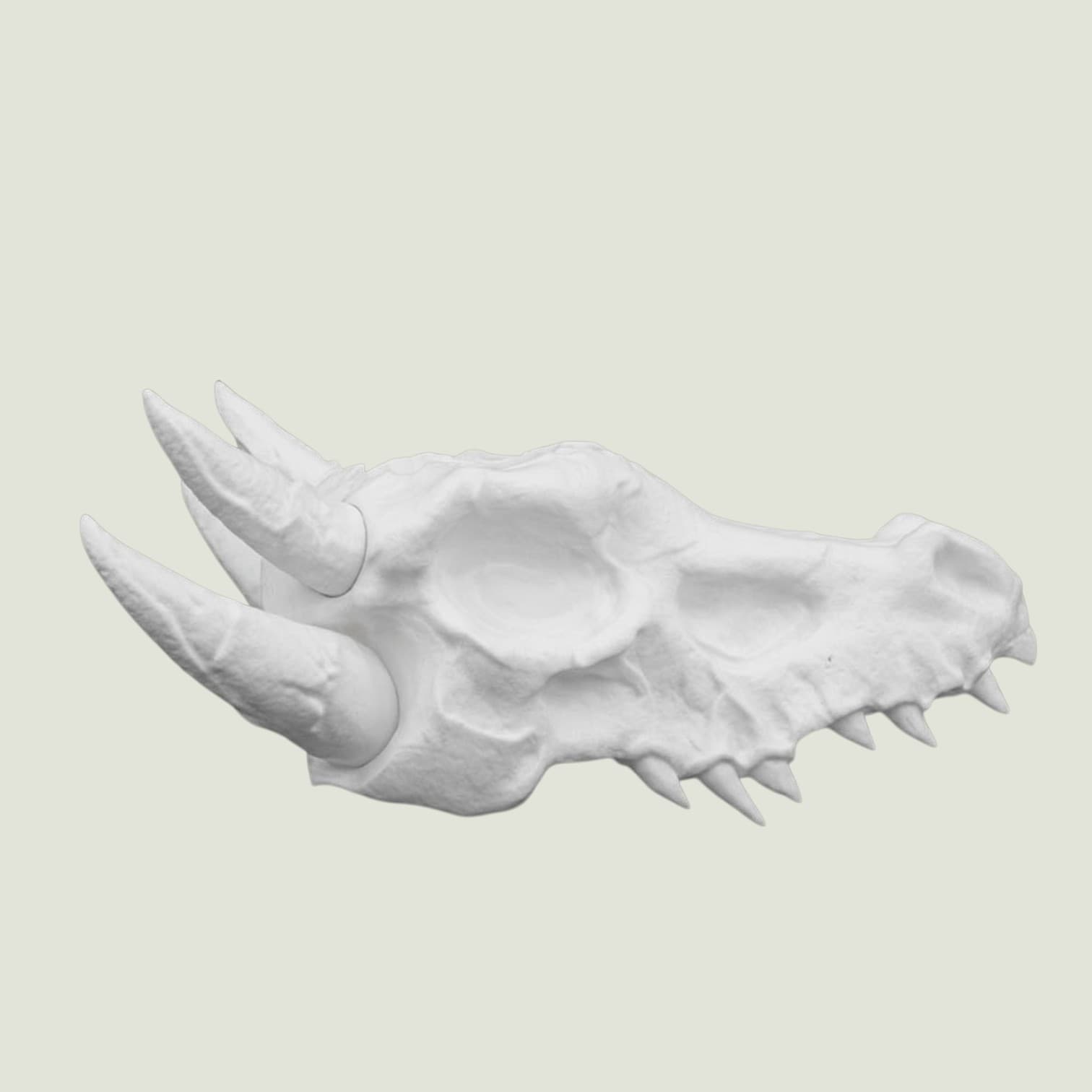 Dragon Skull Planter White Gothic Fantasy Decor Succulent Plant Holder Plastic 4