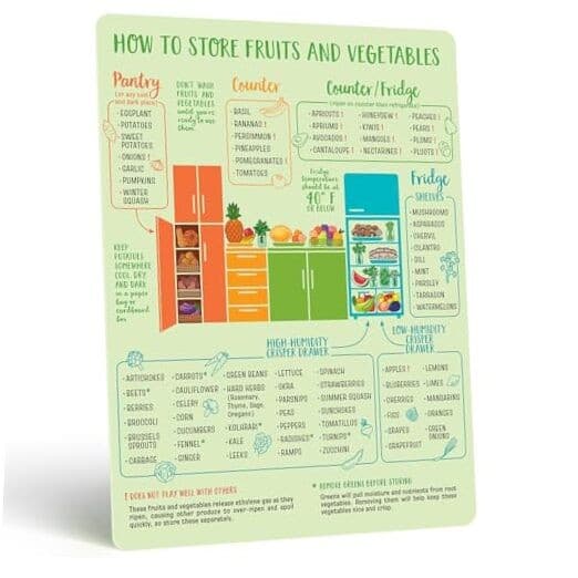 Produce Magnet - Fruit & Vegetable Storage Magnetic Chart - The Storage Guide