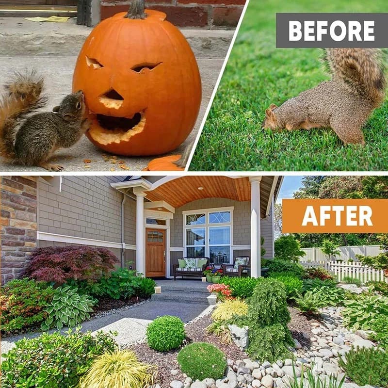 Squirrel Repellent, Keep Squirrels Away, Indoor/Outdoor, 8-pcs 3