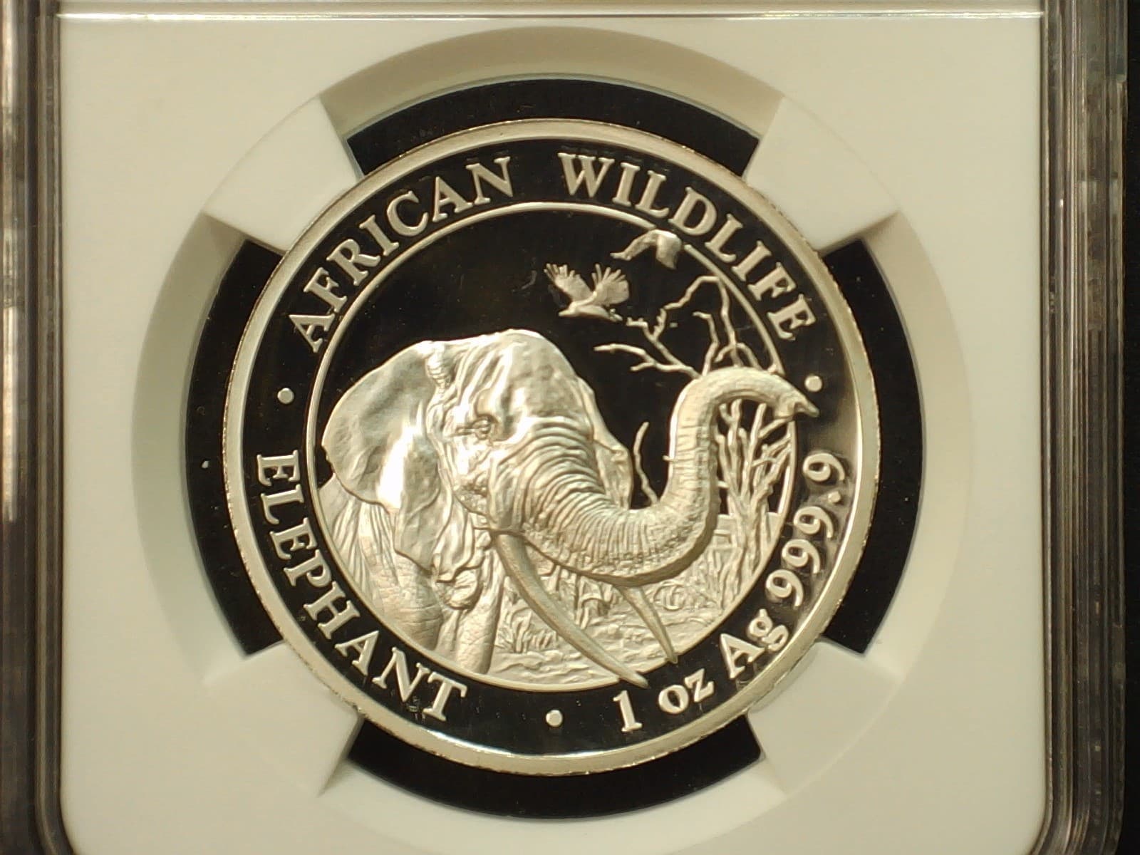 2018 1 Oz Silver Somalia Elephant,High Relief Proof,Early Releases NGC PF 70 3