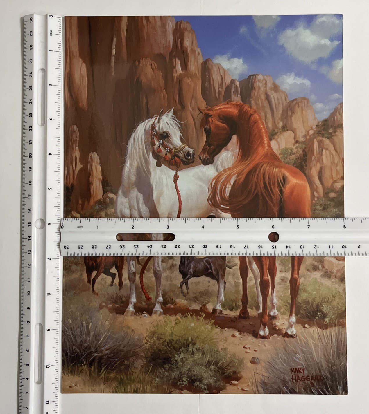 COVER ONLY * 2001 SCOTTSDALE ARABIAN HORSE SHOW PROGRAM FROM MARY HAGGARD PRINT 2
