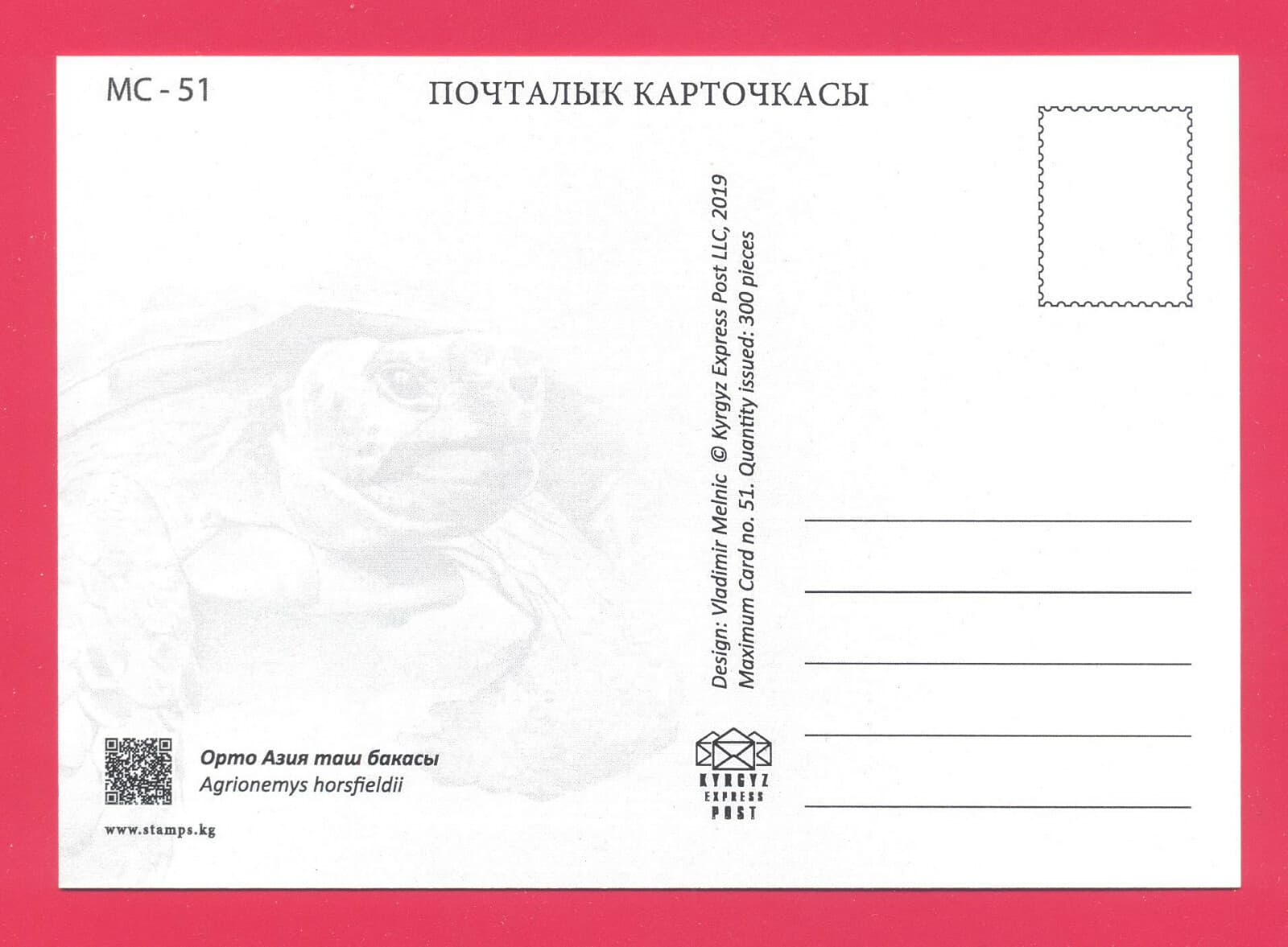 KYRGYZSTAN 2019 Nature Fauna Animals Reptiles Amphibians Turtle Maxicard Card 2