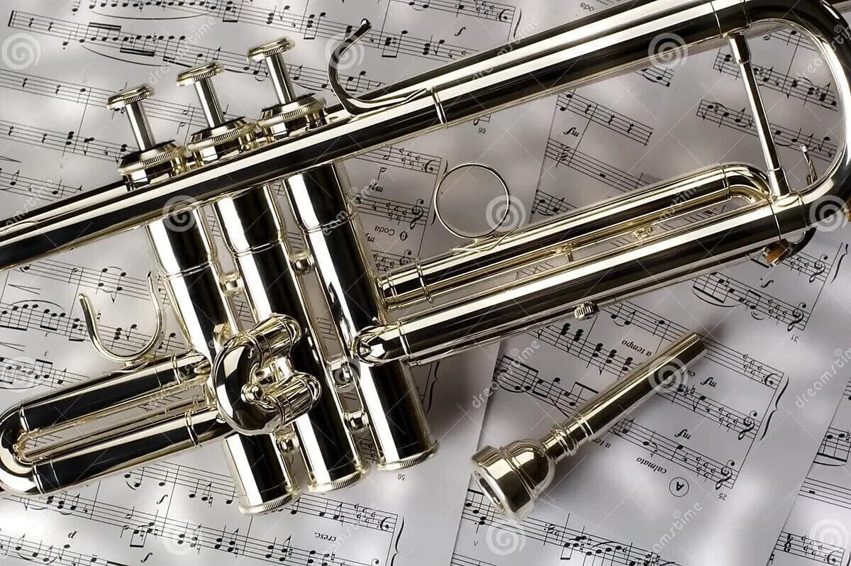 Bb TRUMPET-NEW MIDDLE/HIGH SCHOOL STUDENT SILVER MARCHING BAND TRUMPETS 5