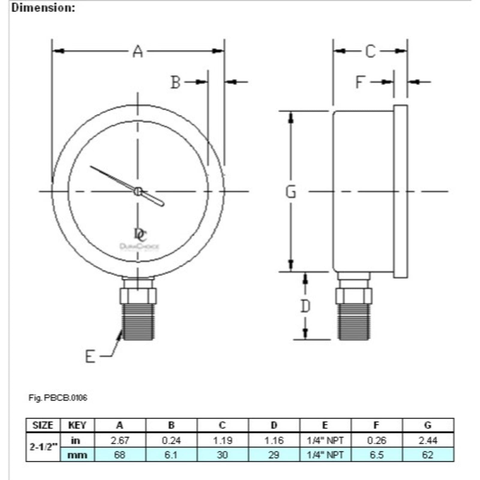 2-1/2" Oil Filled Pressure Gauge, SS Case, 1/4" NPT, Lower Mount, 0-300PSI 5