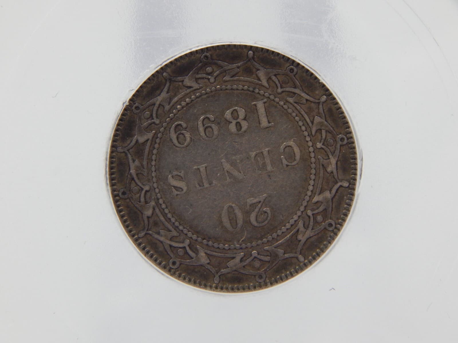 1899 NEWFOUNDLAND 20c TWENTY CENTS  ICG EF40 (BT601) 5
