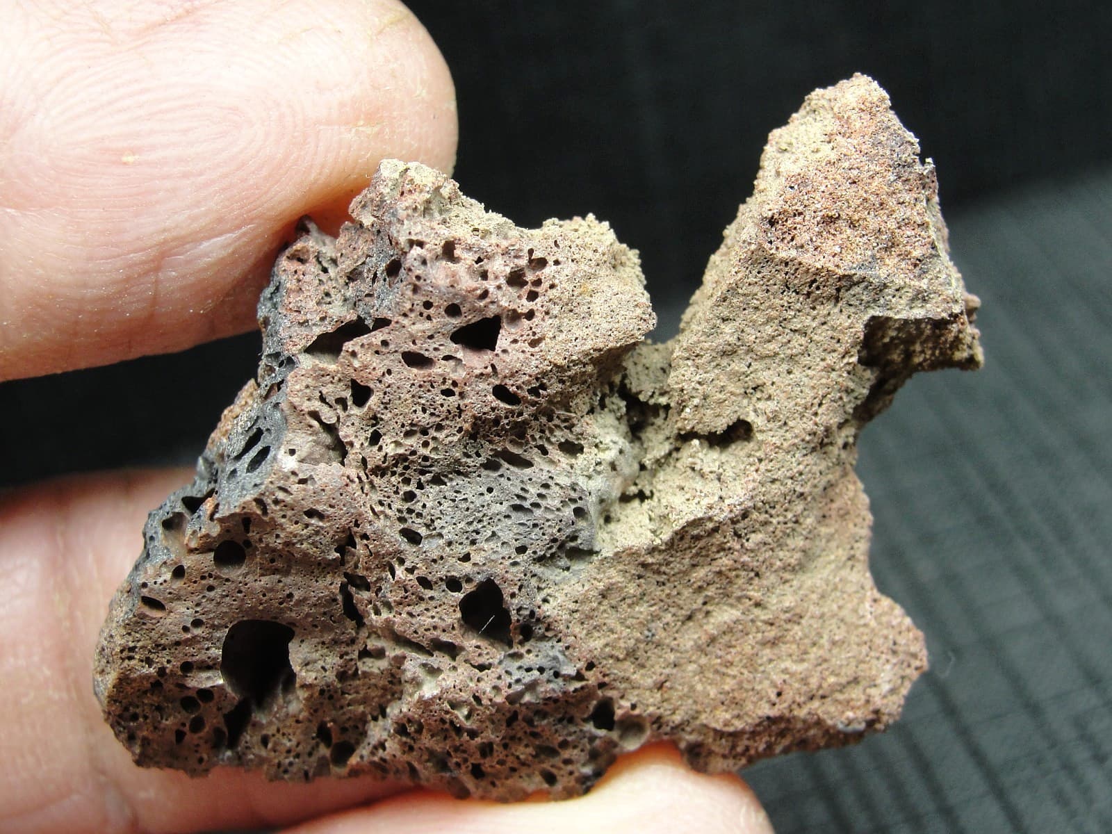 Rare KT Boundary Material - Montana - KT-0369 - 6.45g - Rare Buchite - End Cut 2