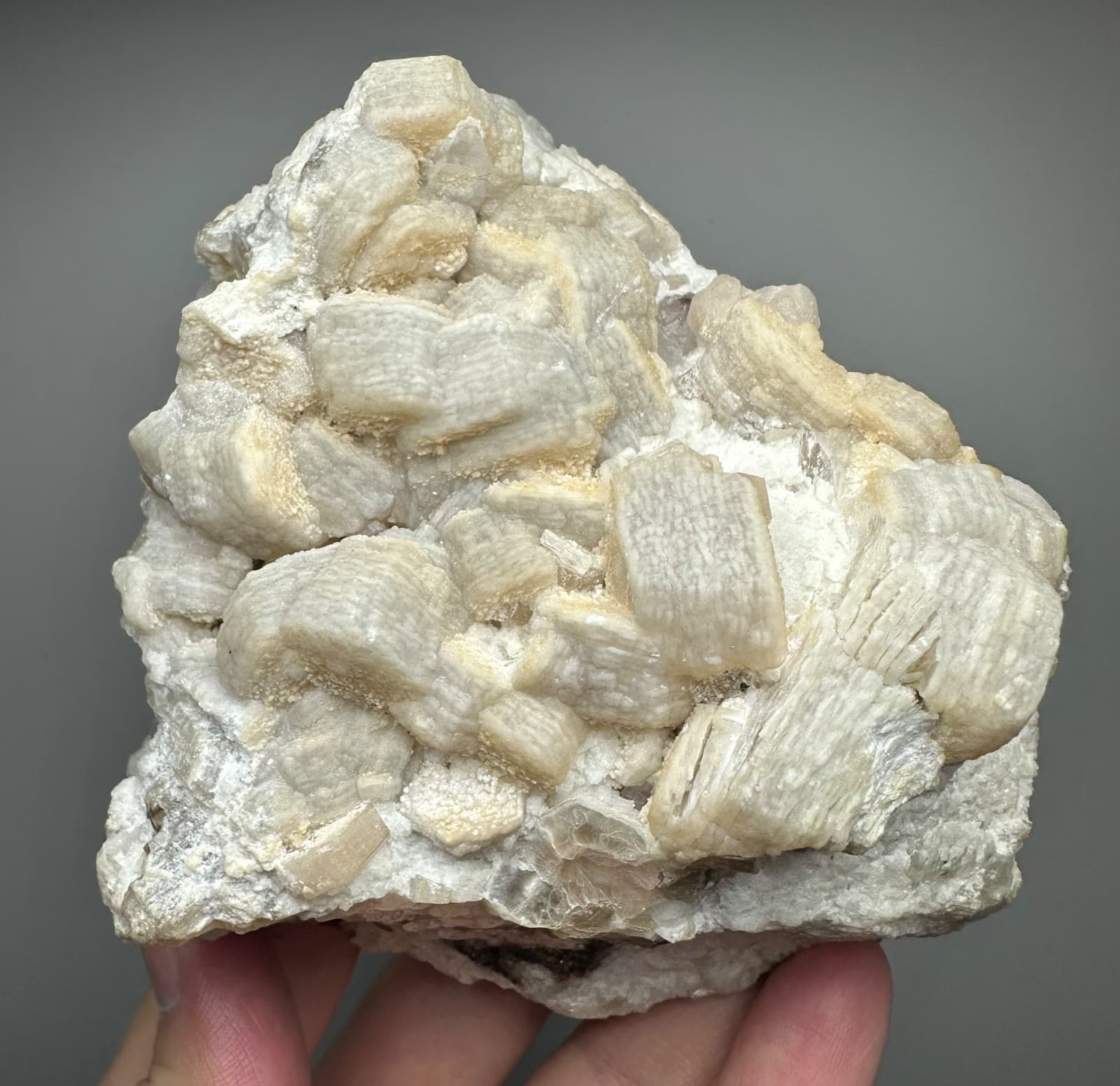 741 Gr. Fluorescent Rare Apatite Crystals Cluster With Mica Cluster On Matrix 6