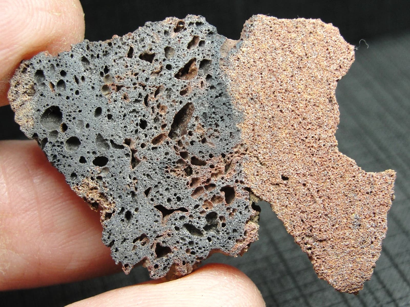 Rare KT Boundary Material - Montana - KT-0369 - 6.45g - Rare Buchite - End Cut