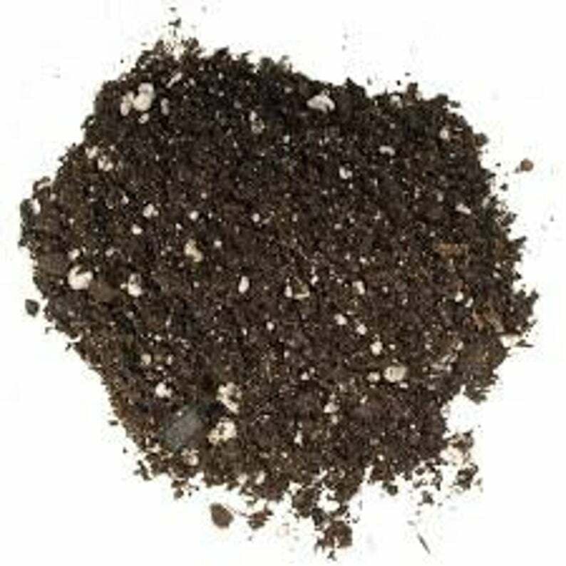2 Quarts Bonsai Soil - CZ GRAIN Soil. The Best in the World
