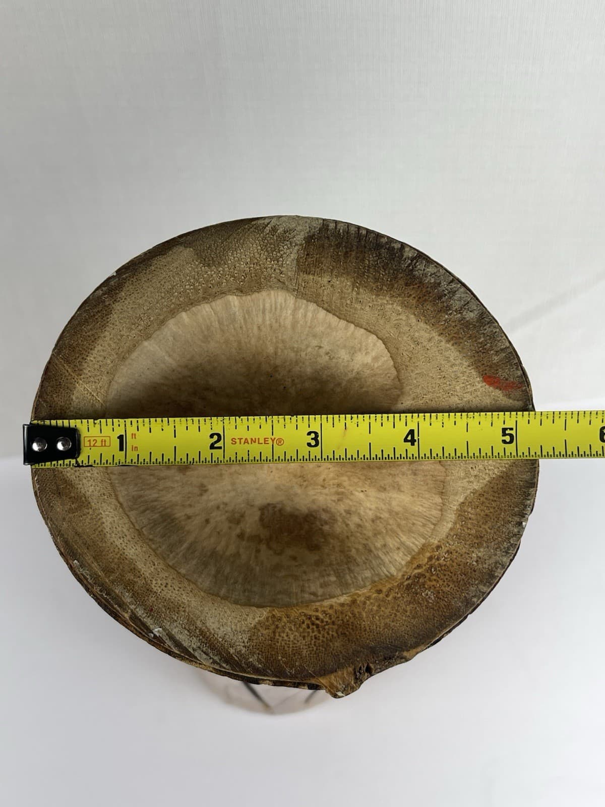 Hand-Carved Wooden Slit Drum | Vintage Talking Instrument for Art or Music 14 in 3