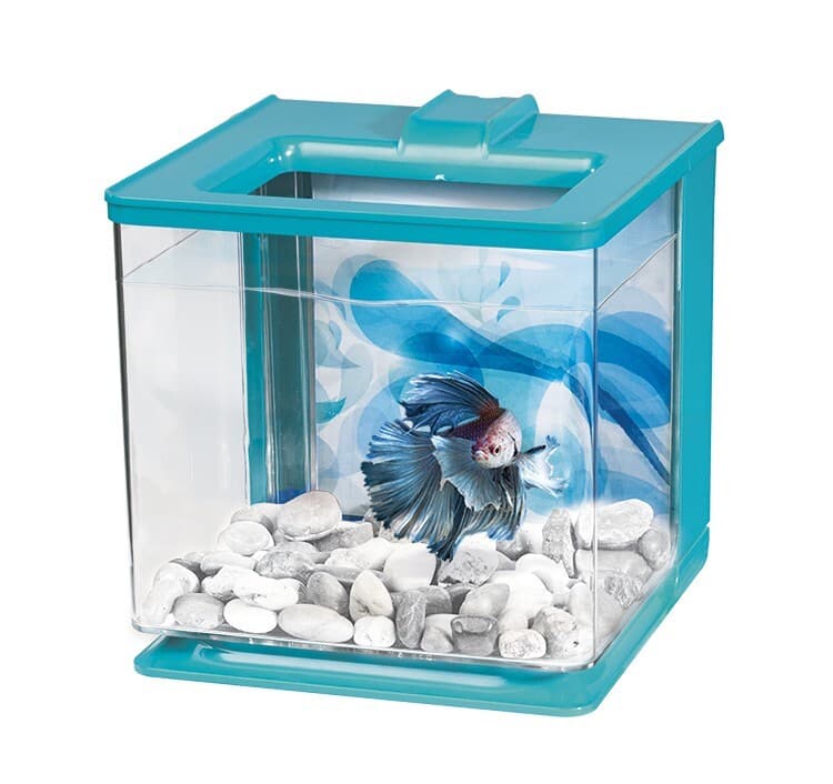 MARINA Betta EZ Care Aquarium Kit Blue.Betta fish tank 0.7 US Gal.6¼"Lx6¼"Wx6¼"H 2