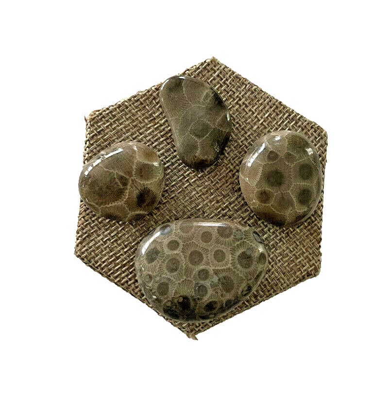 ***GREAT PRICE*** A SET OF 4 PETOSKEY STONES - BELOW RETAIL PLUS FREE SHIPPING! 4