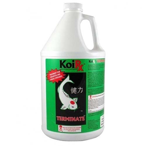 AquaMeds KoiRx Terminate - Koi Parasite Treatment 1 Gallon