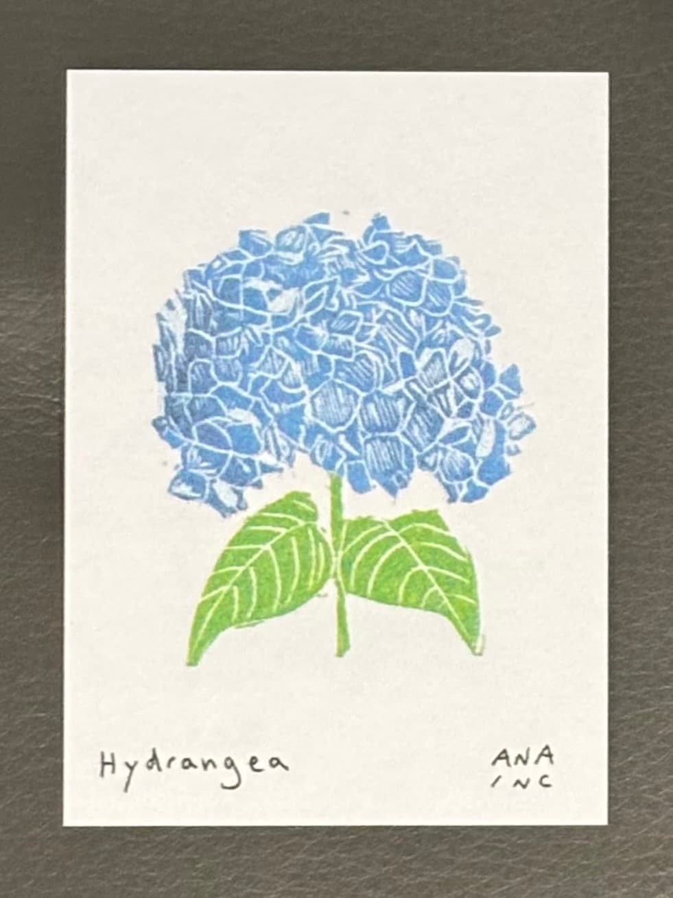 Anastasia Inciardi "Hydrangea"  Mini Print
