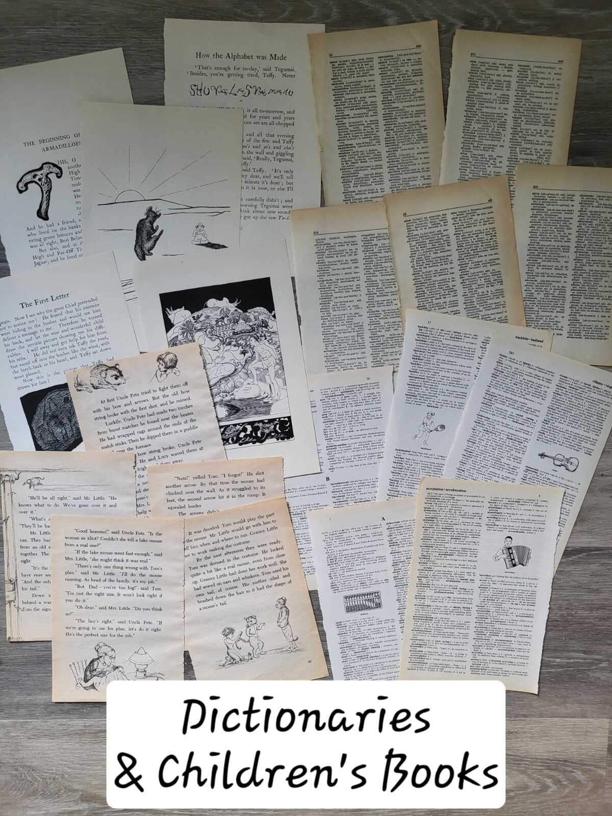 Ephemera Pack, 100 Antique Vintage Old Book Pages Foreign Language Illustrations 6