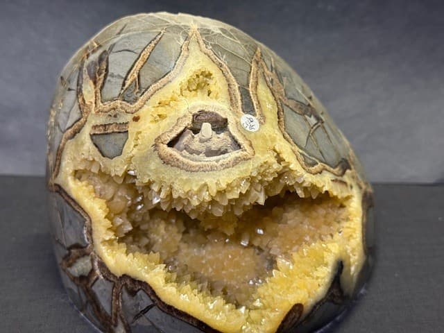 RARE  SEPTARIAN FREE FORM W/ FOSSIL CRAB  ,A++  QUALITY: & FL/PHOSPHORESCENT! 4