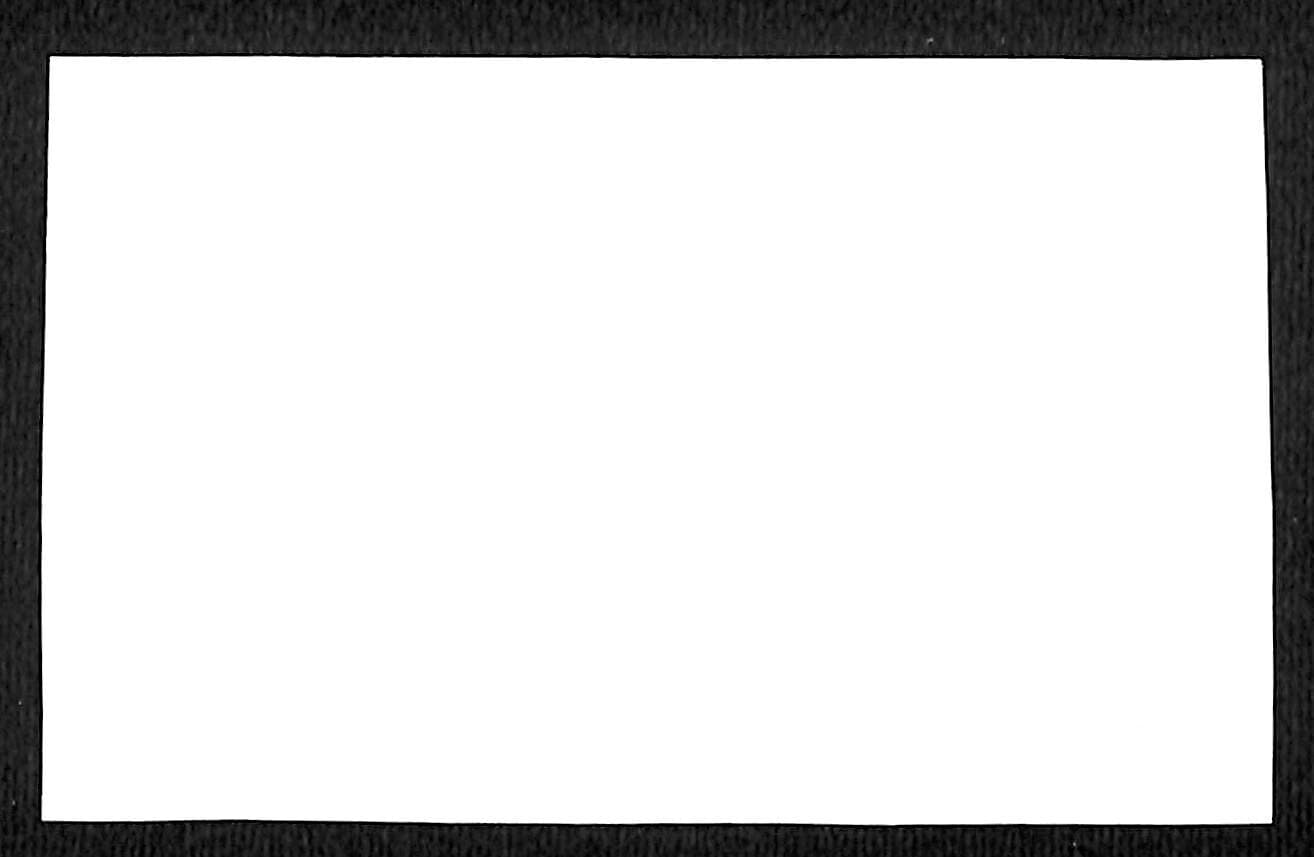 Pioneer (Supermarkets) NYC "Food Stamp Voucher" 1c Coupon c1965-79 VGC 2