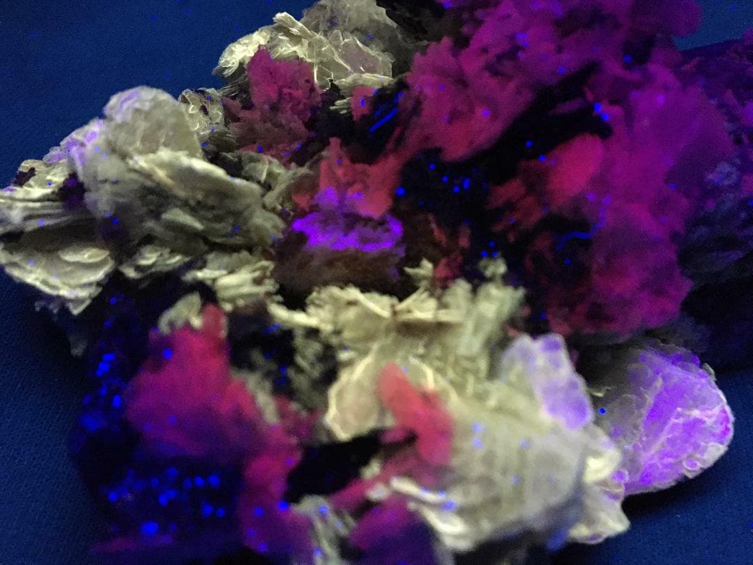KB: FANTASTIC! GREAT SW FL. POLYLITHIONITE/LEUCOPHANITE/ALBITE, QUEBEC, CANADA