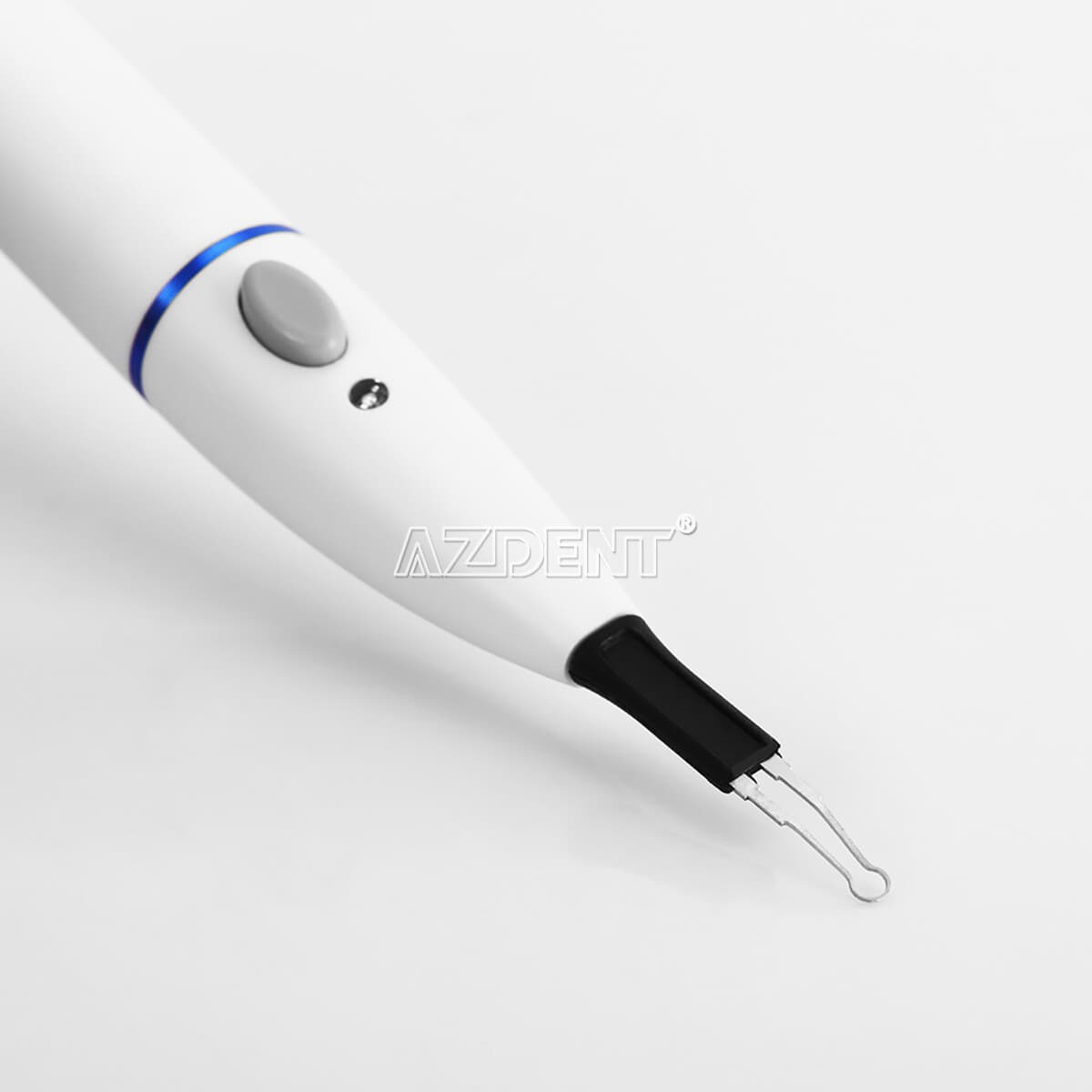 Dental Endo gutapercha dientes cortador de encías 4pcs Tips/ Gutta Percha Points 5